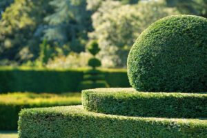Gartenzaun als Kunst im Garten
